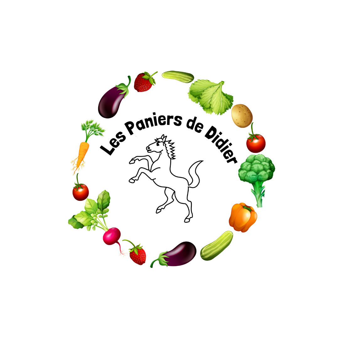 Logo officiel de Les paniers de Didier Logo de la boulangerie D'ICI, avec typographie élégante et une illustration d'épi de blé stylisé dans la lettre "D".