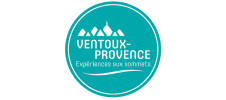 Logo du restaurant Solelh, avec une typographie élégante où le "o" stylisé rappelle un soleil.